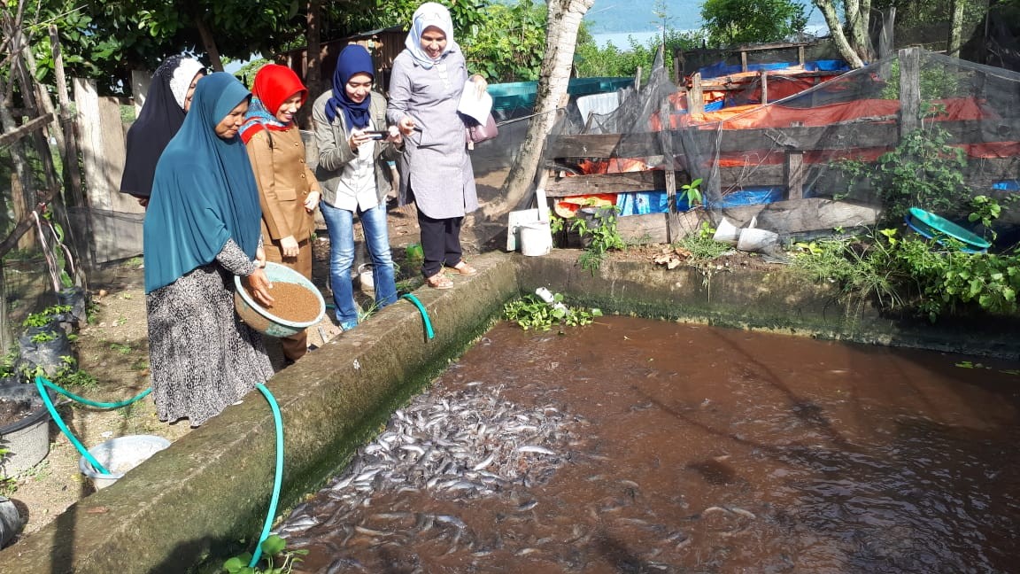 Monitoring dan Evaluasi Bantuan Benih Ikan oleh Direktorat Perbenihan KKP RI ke Pokdakan Harapan Jay
