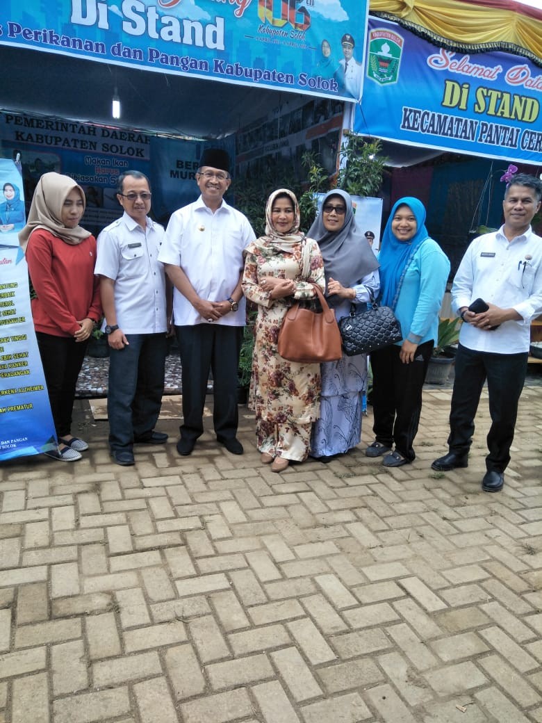 Pameran dalam rangka HUT kab. Solok yg ke 106