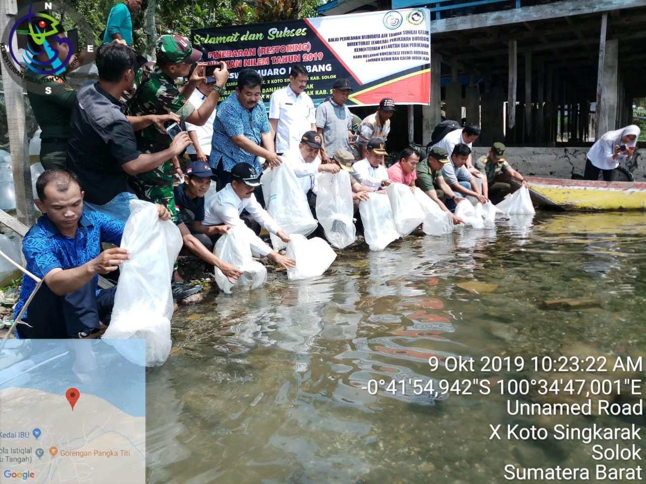 Penebaran(Restoking) Benih Ikan Nilem Tahun 2019  di Nagari Saniang Baka kec. X Koto Singkarak