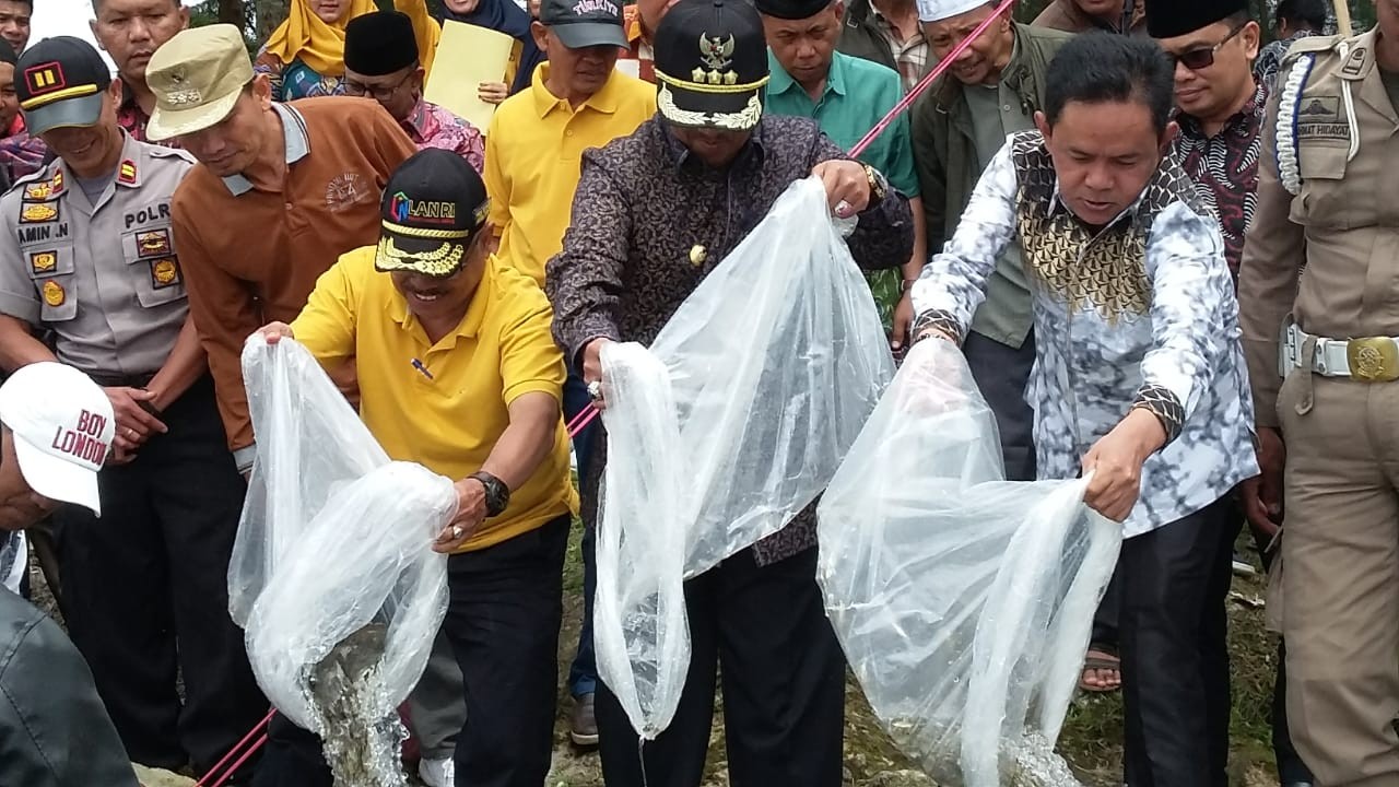 Penebaran (Restocking) Benih Ikan Nilem Oleh Bapak Bupati Solok H.Gusmal, SE, MM di Pokmaswas Balam 
