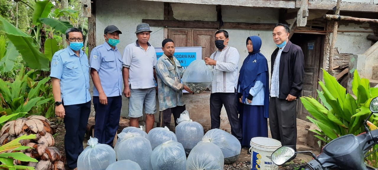 Serah Terima Benih Mas di kelompok Talao Mandiri Koto Baru Kec.Kubung