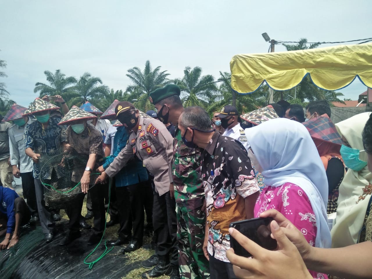 Panen Udang Vannamei bersama Bapak Prof.Ir.Sjarief Widjaja,Ph.D,F.Rina (Kepala Badan Riset dan Sumbe