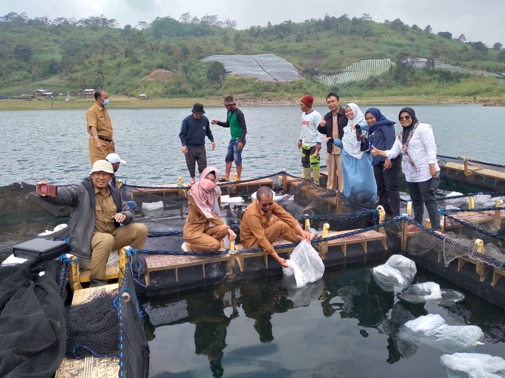 Penebaran Benih Ikan, bersama Bapak Kabid Bappeda di kelompok KJA Karya Bersama ke Danau Talang