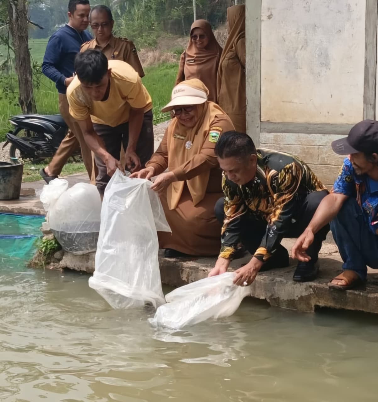 PENDISTRIBUSIAN BENIH DAN PAKAN IKAN PADA POKDAKAN BAWAH BUNGO