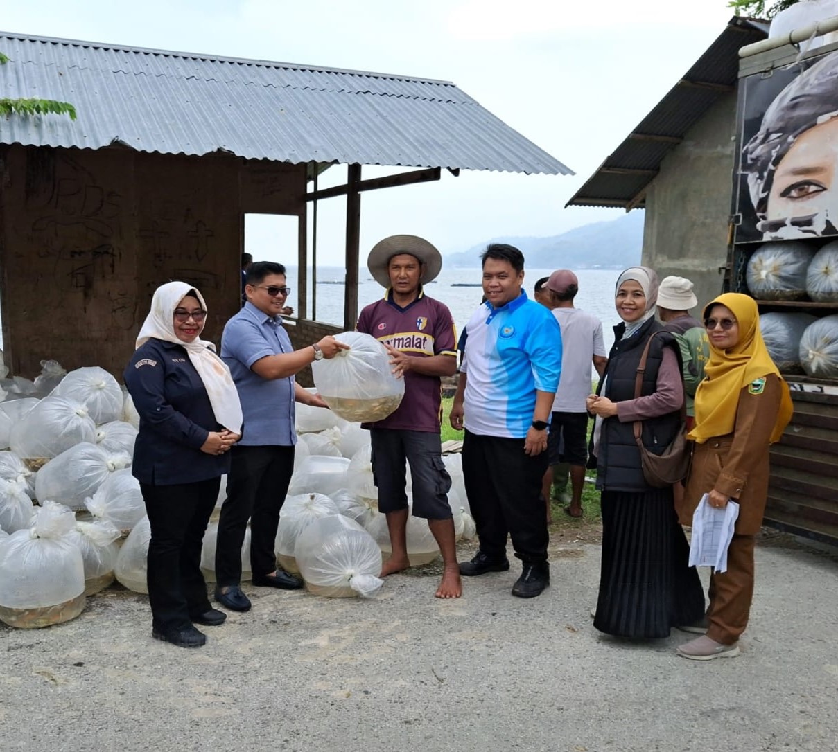 PENYERAHAN BANTUAN BENIH IKAN NILA dan MAS OLEH KEMENTRIAN KELAUTAN & PERIKANAN PASCA BENCANA HIDROMETEOROLOGI