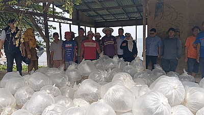 Penyerahan Bantuan Bibit Ikan Nila dan Mas pada Pokdakan di Nagari Singkarak dan Muaro Pingai Pasca Bencana Hidrometeorologi - foto 2