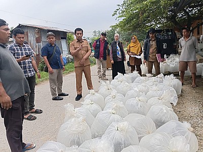Penyerahan Bantuan Bibit Ikan Nila dan Mas pada Pokdakan di Nagari Singkarak dan Muaro Pingai Pasca Bencana Hidrometeorologi - foto 4