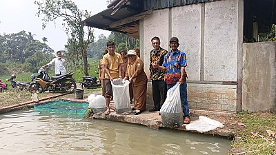 Pendistribusian Benih dan Pakan Ikan pada Pokdakan Bawah Bungo Nagari Koto Baru - foto 1