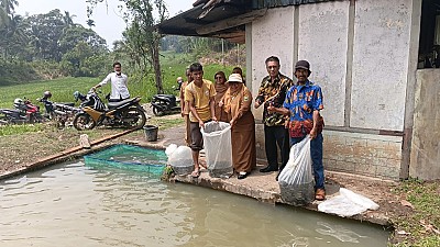 Pendistribusian Benih dan Pakan Ikan pada Pokdakan Bawah Bungo Nagari Koto Baru - foto 4