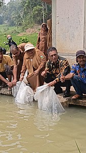 Pendistribusian Benih dan Pakan Ikan pada Pokdakan Bawah Bungo Nagari Koto Baru - foto 7