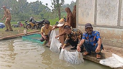 Pendistribusian Benih dan Pakan Ikan pada Pokdakan Bawah Bungo Nagari Koto Baru - foto 8