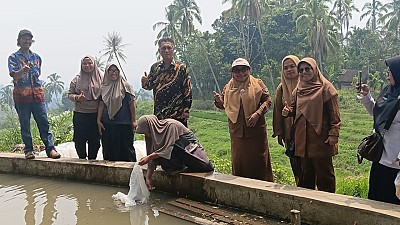 Pendistribusian Benih dan Pakan Ikan pada Pokdakan Bawah Bungo Nagari Koto Baru - foto 10