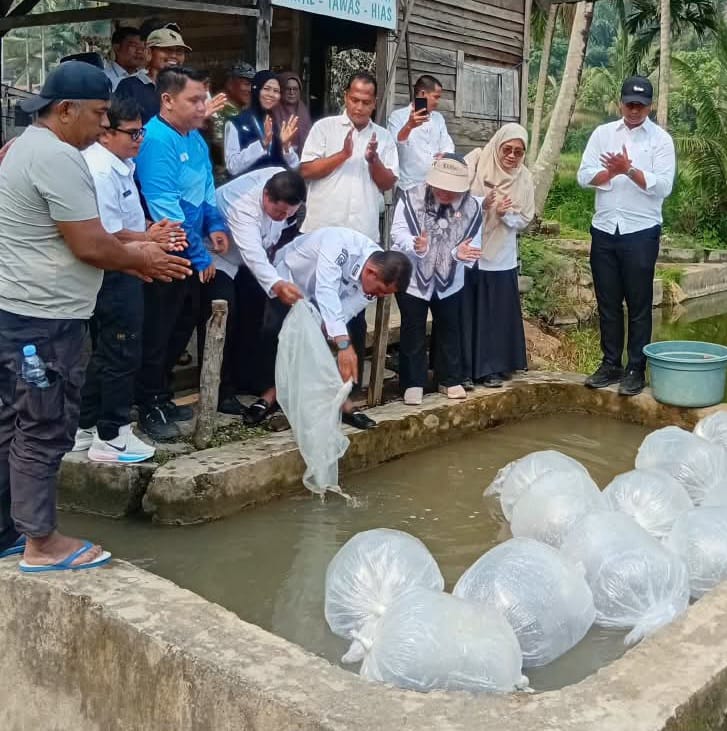 PENYALUAN BANTUAN BENIH IKAN MAS dari KEMENTERIAN KELAUTAN dan PERIKAN (KKP) RI PASCABENCANA HIDROMETEOROLOGI